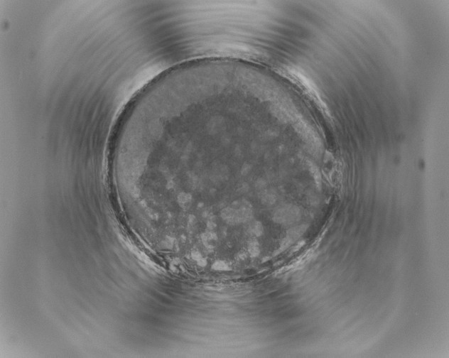 X0000088590780200706151735