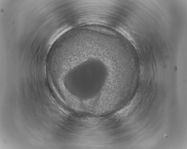 X0000088590782200706151735