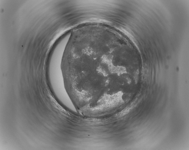 X0000088590783200706151735