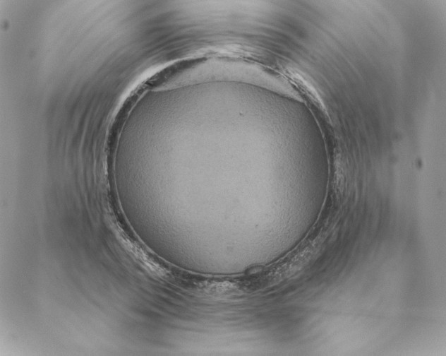 X0000088590784200706151735