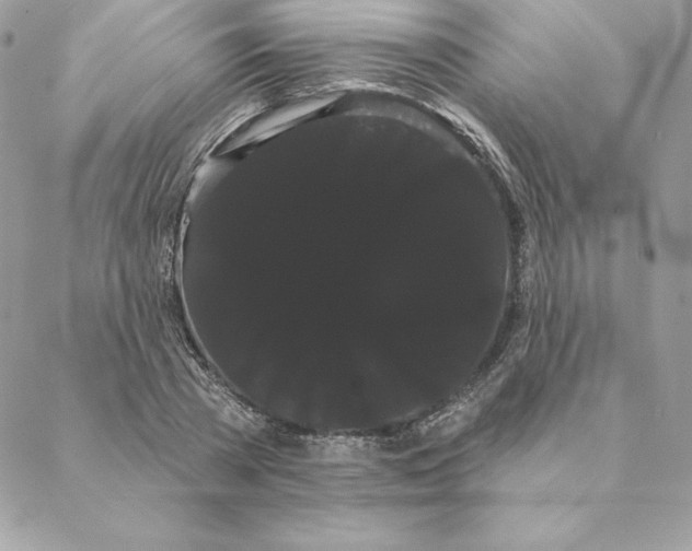 X0000088590785200706151735