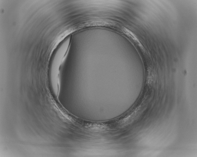 X0000088590786200706151735