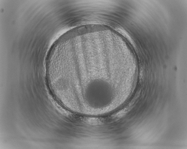 X0000088590787200706151735