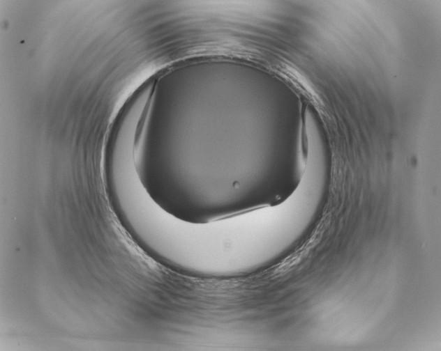 X0000088590788200706151735