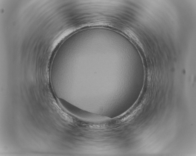 X0000088590789200706151735