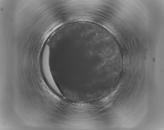 X0000088590790200706151735