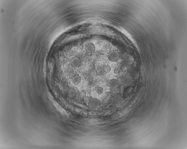 X0000088590791200706151735