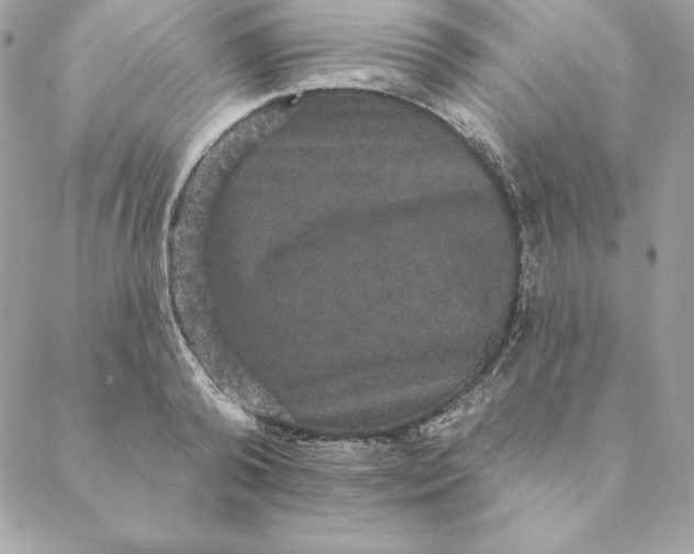 X0000088590792200706151735