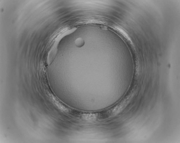 X0000088590793200706151735