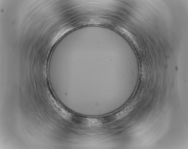 X0000088590794200706151735