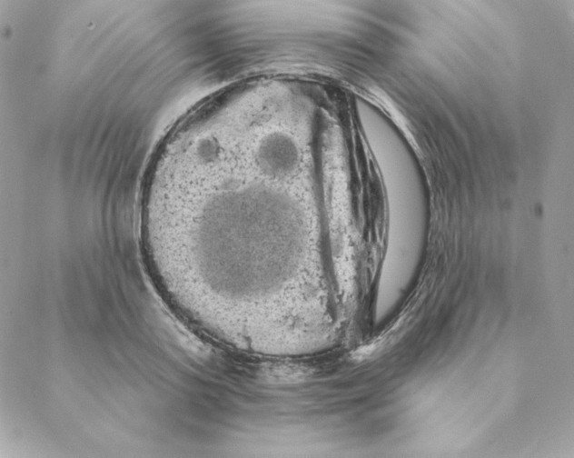 X0000088590795200706151735