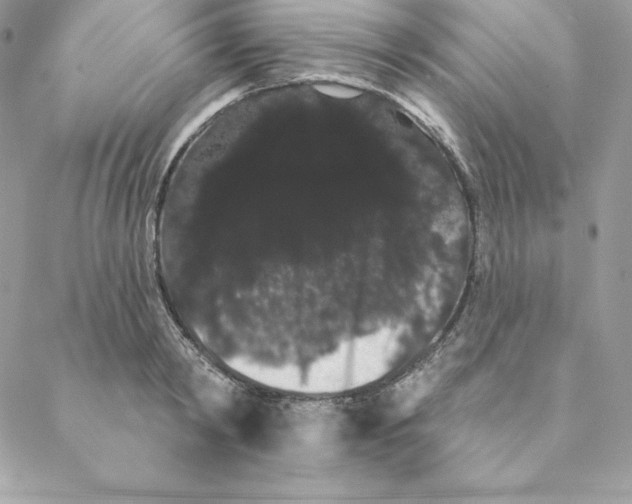 X0000088590798200706151735