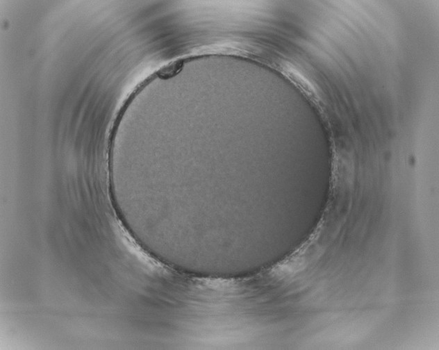 X0000088590800200706151735