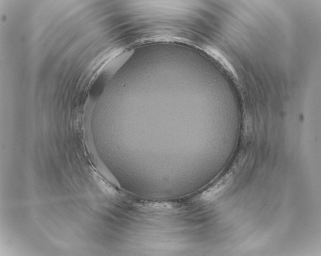 X0000088590801200706151735