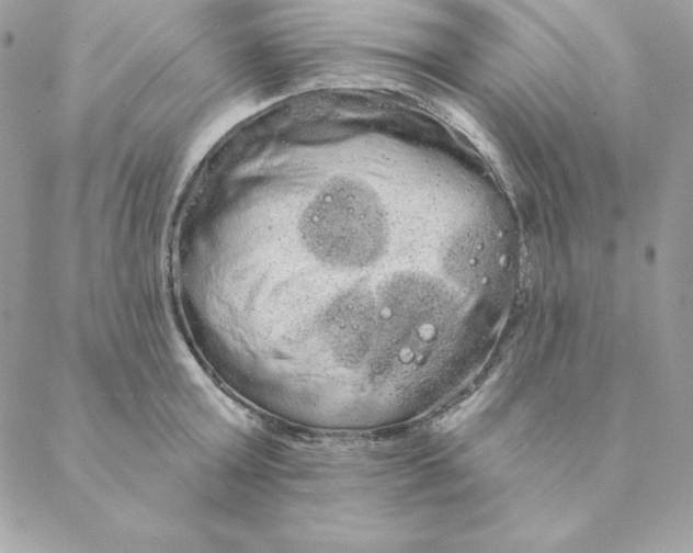 X0000088590803200706151735