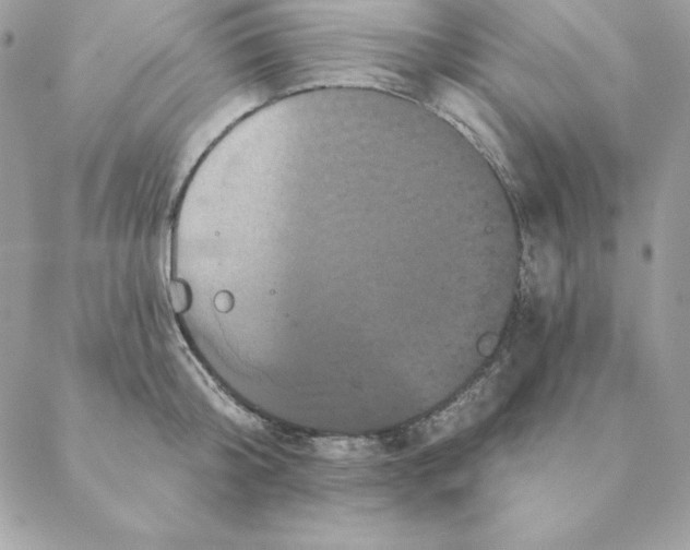 X0000088590804200706151735