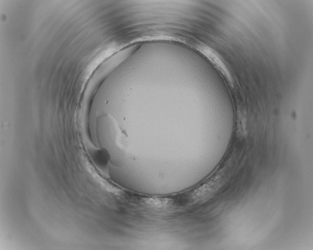 X0000088590805200706151735