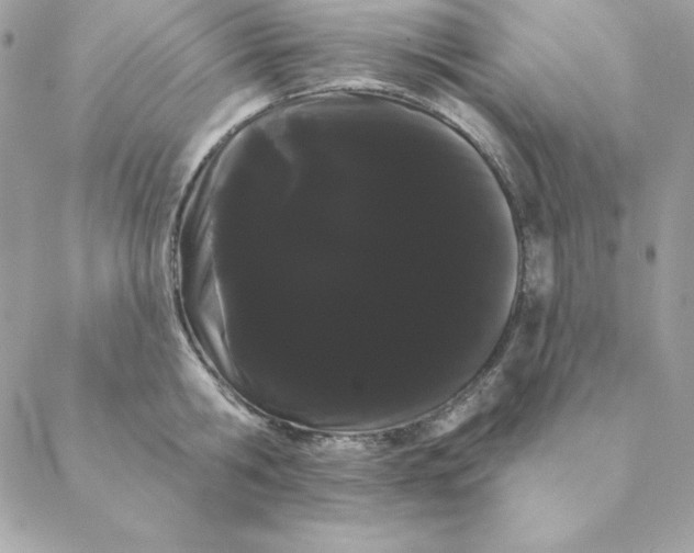 X0000088590806200706151735