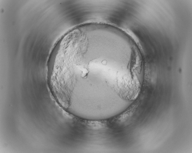 X0000088590807200706151735