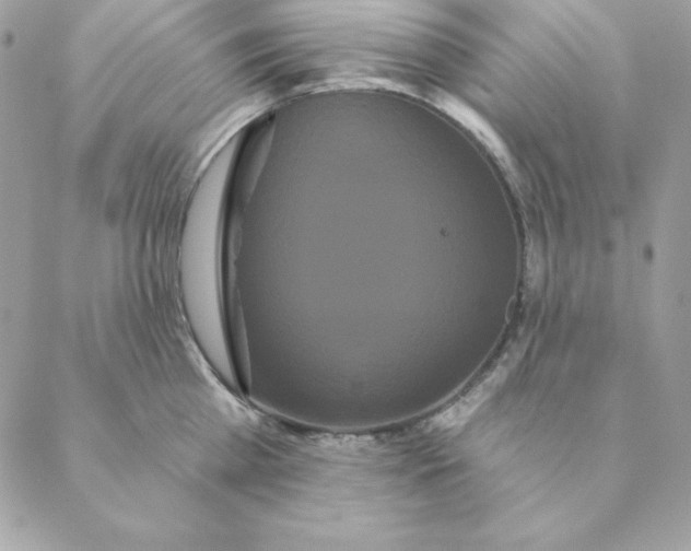 X0000088590809200706151735