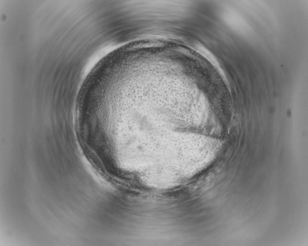 X0000088590811200706151735