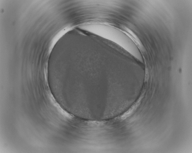 X0000088590812200706151735