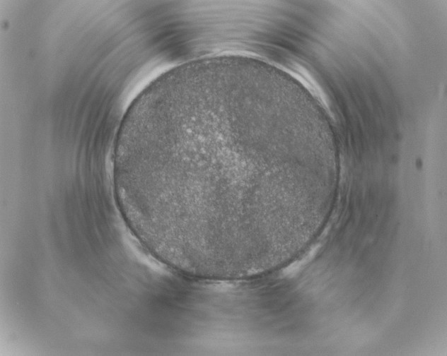 X0000088590814200706151735