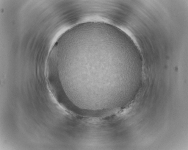 X0000088590815200706151735