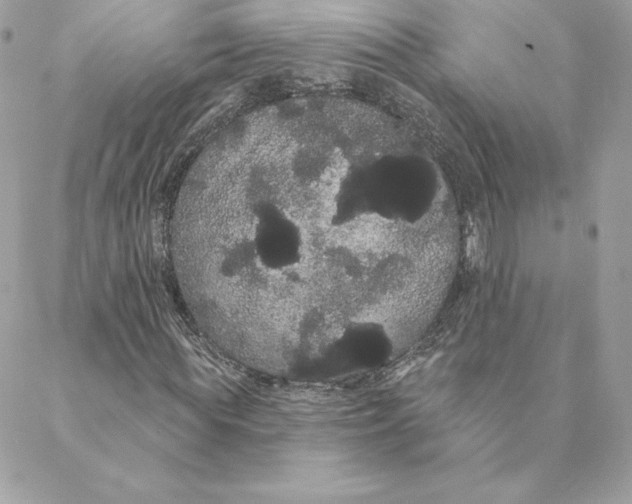 X0000088590819200706151734