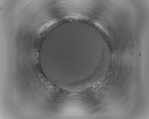 X0000088590822200706151734