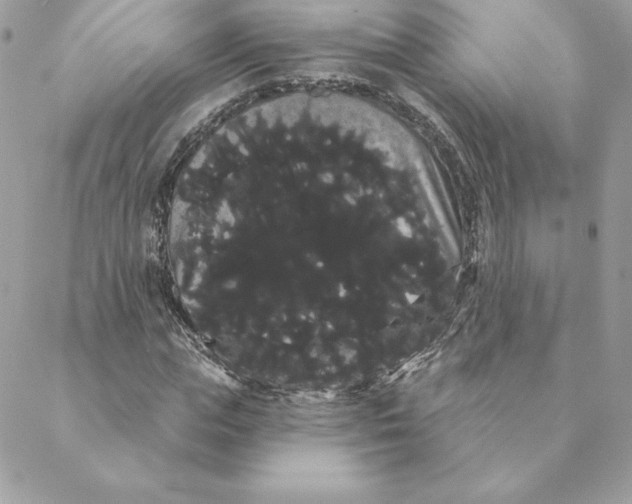 X0000088590823200706151734