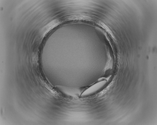 X0000088590826200706151734