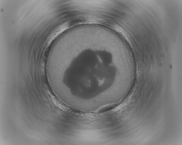 X0000088590827200706151734