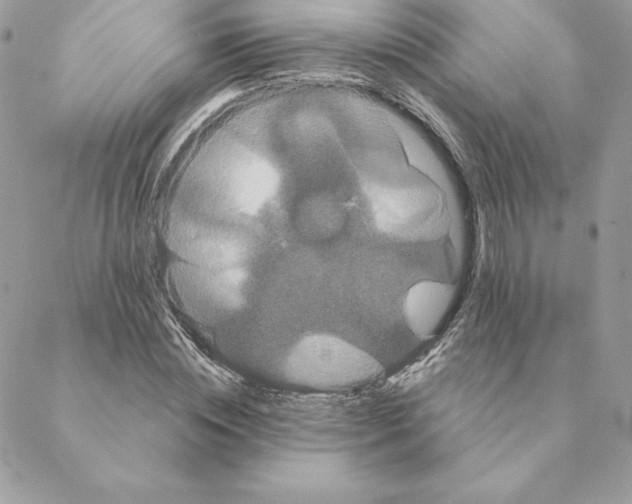 X0000088590828200706151734