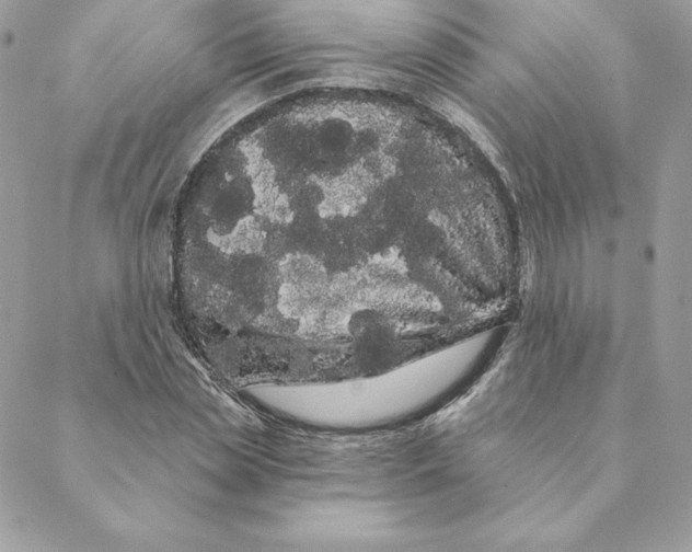 X0000088590829200706151734