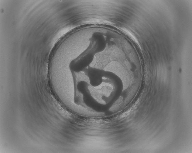 X0000088590831200706151734