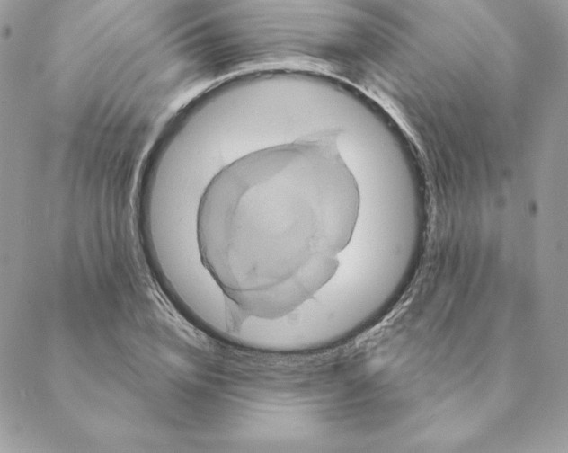 X0000088590832200706151734