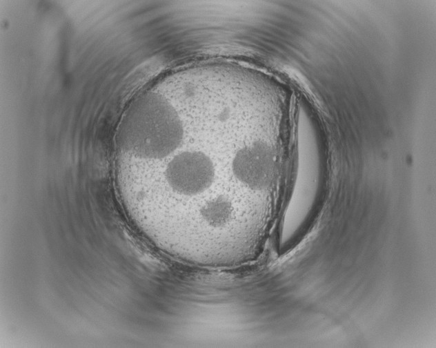 X0000088590833200706151734