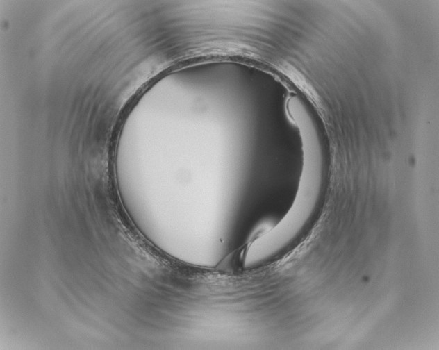 X0000088590834200706151734