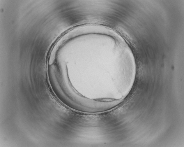 X0000088590836200706151734