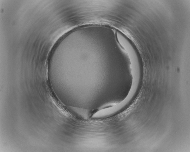 X0000088590838200706151734