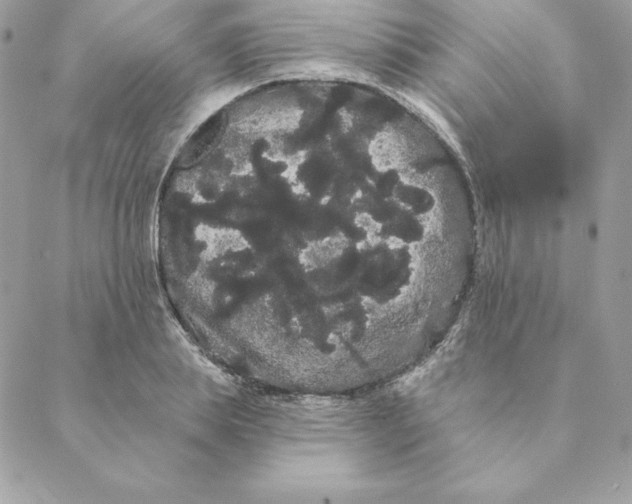 X0000088590839200706151734