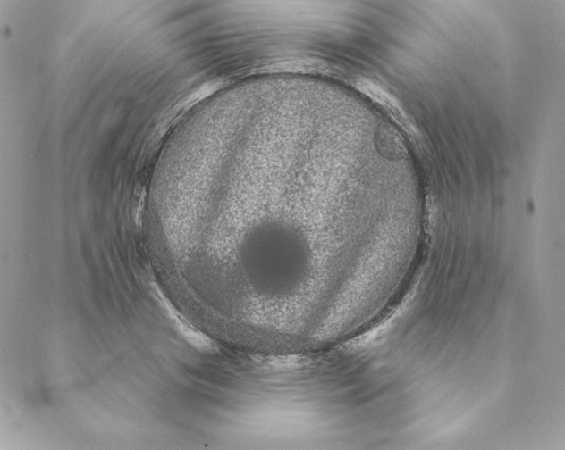 X0000088590841200706151734