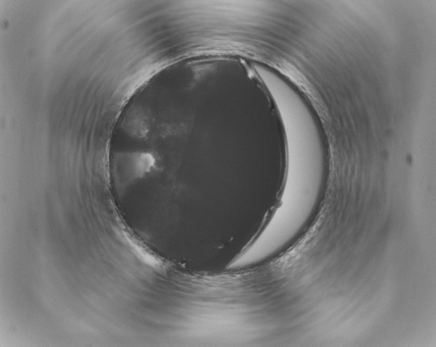 X0000088590842200706151734