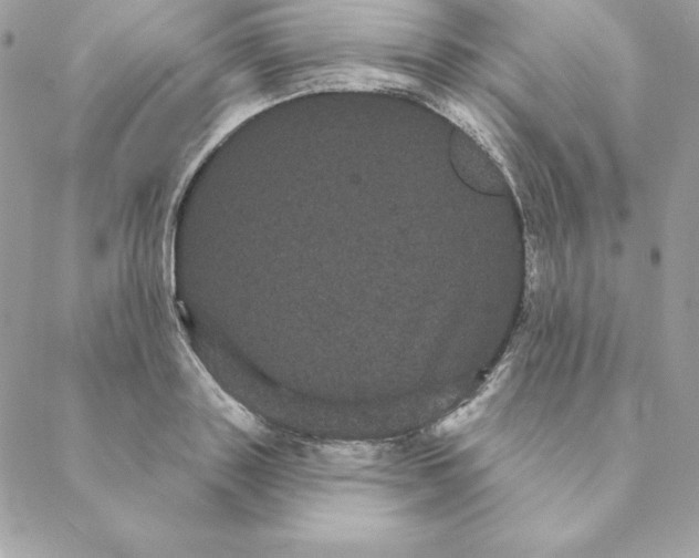 X0000088590843200706151734