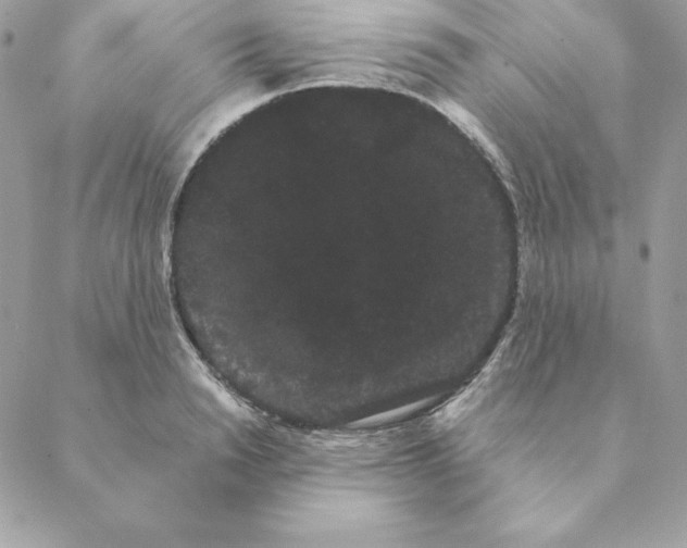 X0000088590846200706151734