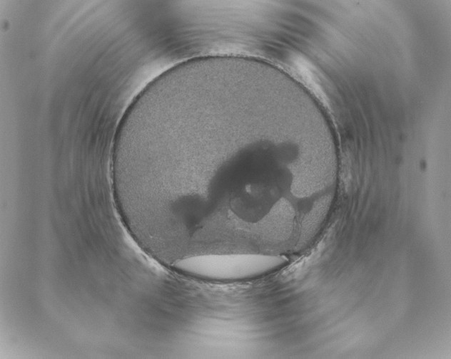 X0000088590847200706151734