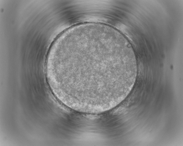 X0000088590848200706151734