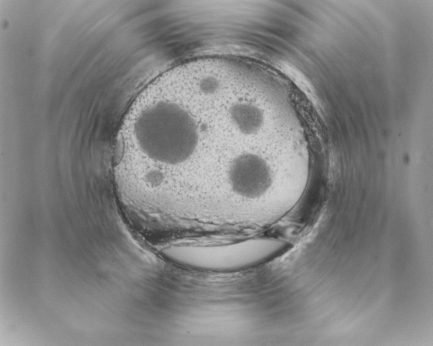 X0000088590849200706151734