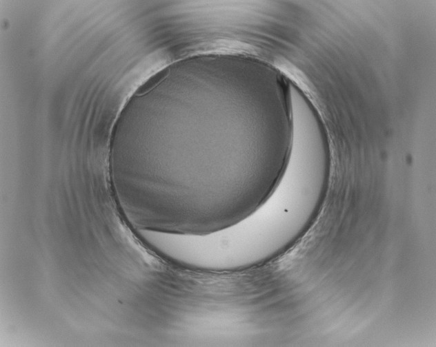 X0000088590850200706151734